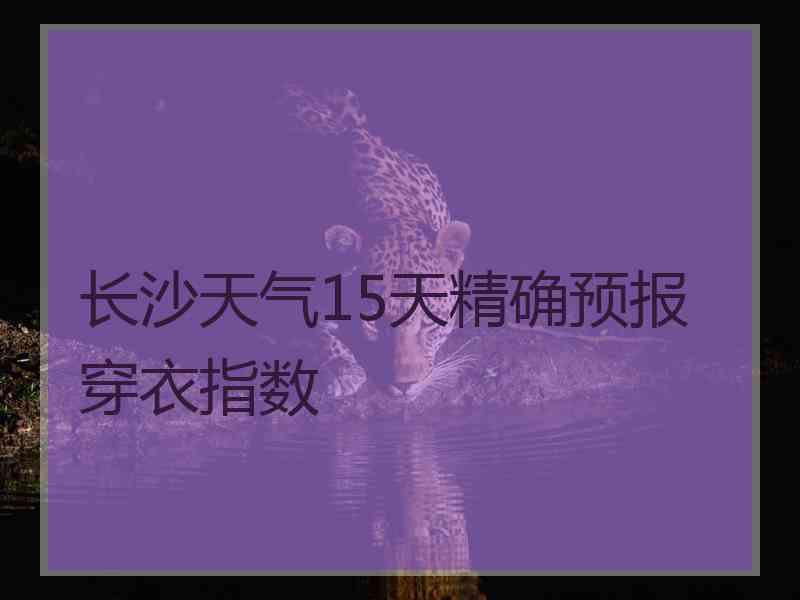 长沙天气15天精确预报穿衣指数