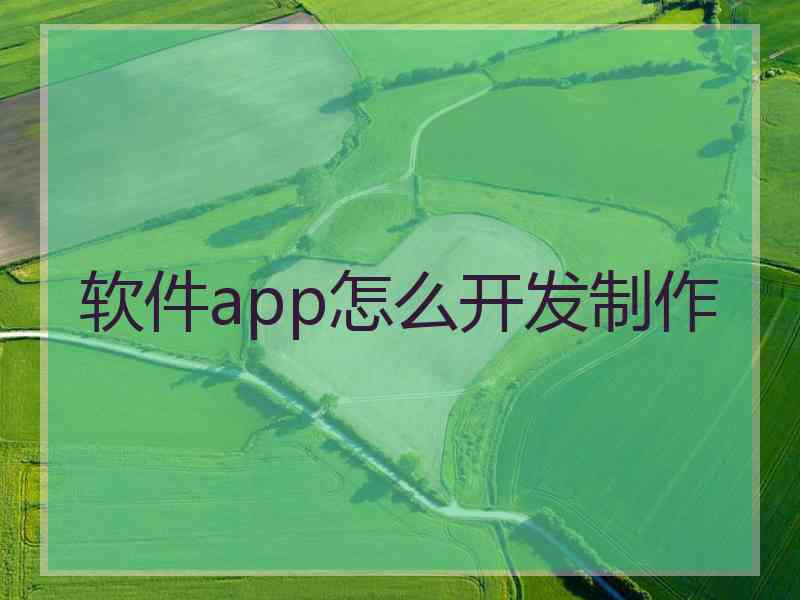 软件app怎么开发制作