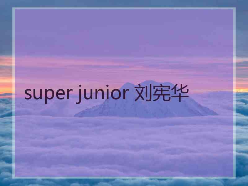 super junior 刘宪华