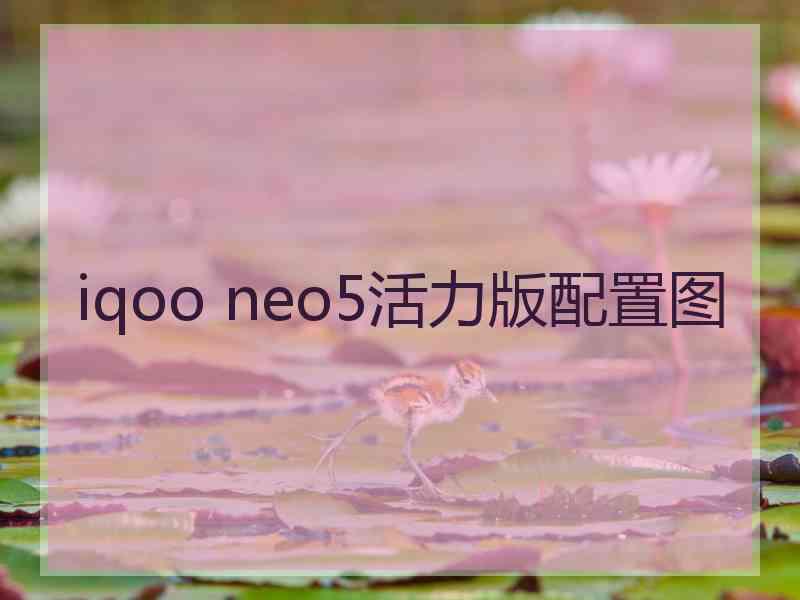 iqoo neo5活力版配置图