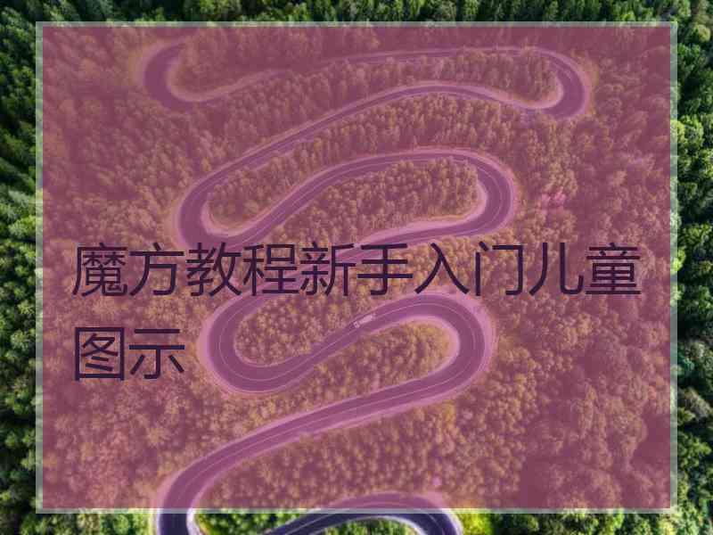 魔方教程新手入门儿童图示