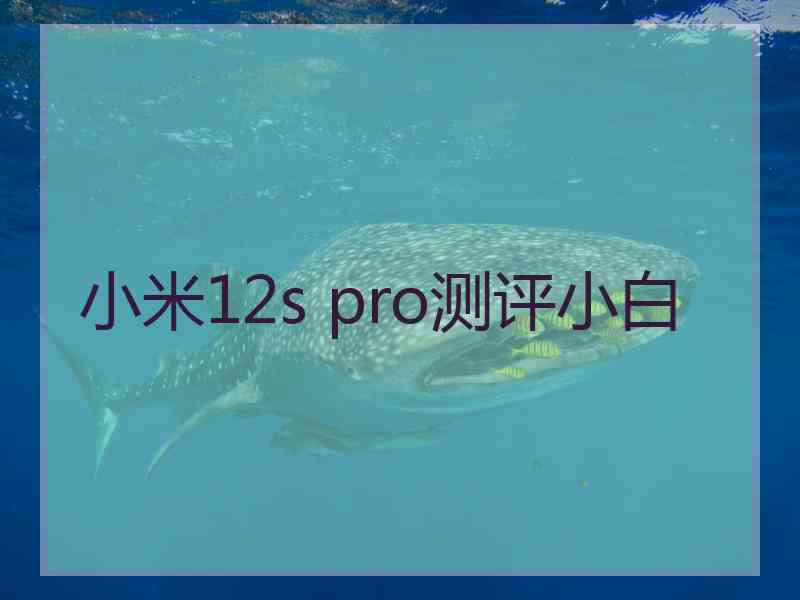 小米12s pro测评小白