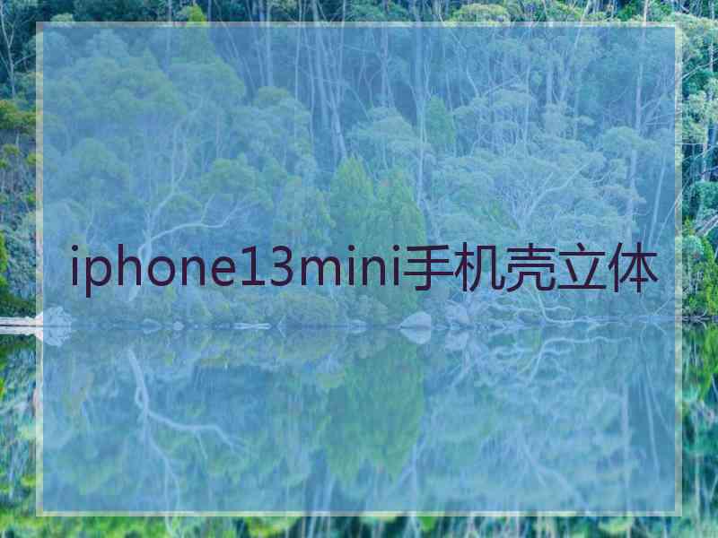 iphone13mini手机壳立体