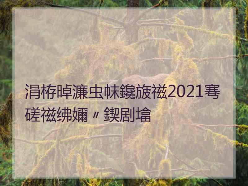 涓栫晫濂虫帓鑱旇禌2021骞磋禌绋嬭〃鍥剧墖