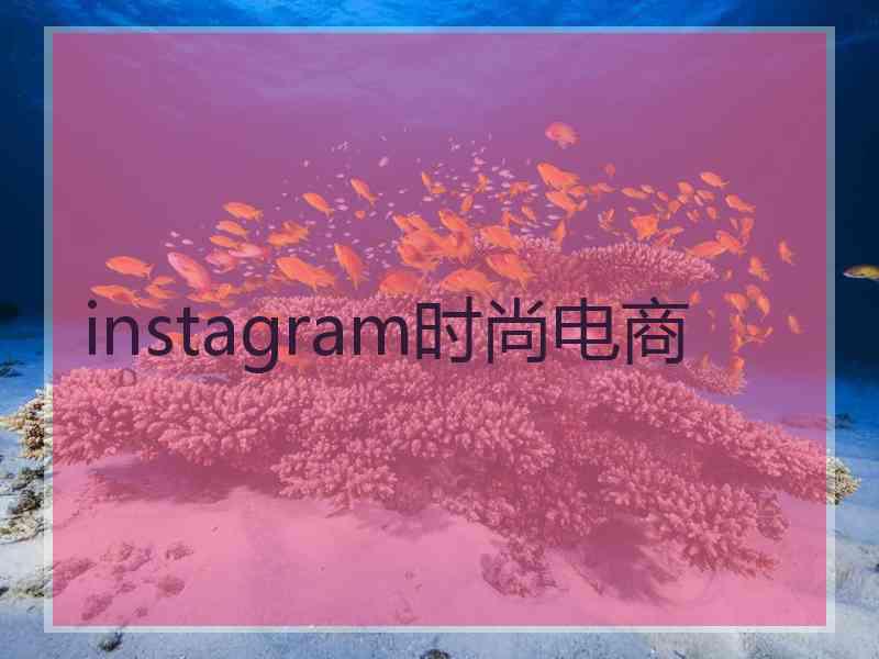 instagram时尚电商