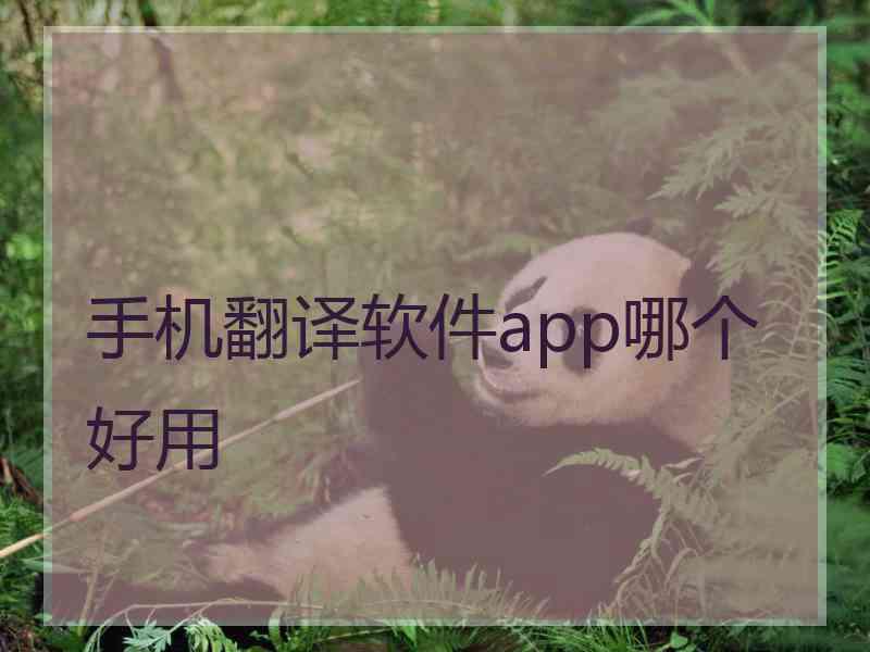 手机翻译软件app哪个好用