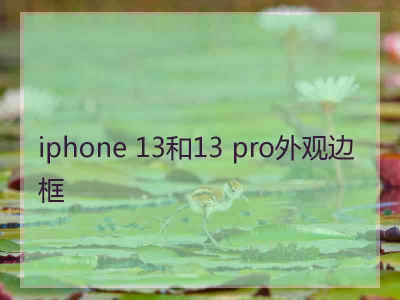 iphone 13和13 pro外观边框