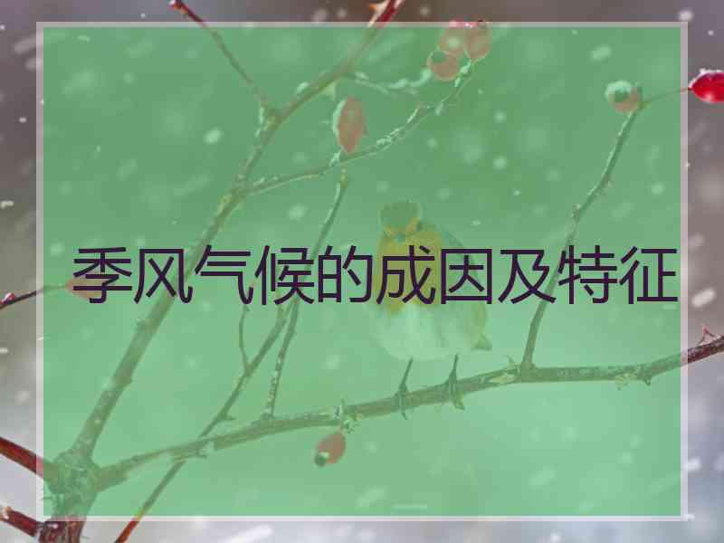 季风气候的成因及特征