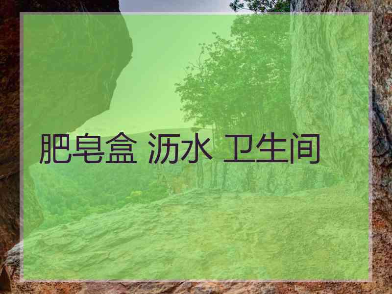 肥皂盒 沥水 卫生间