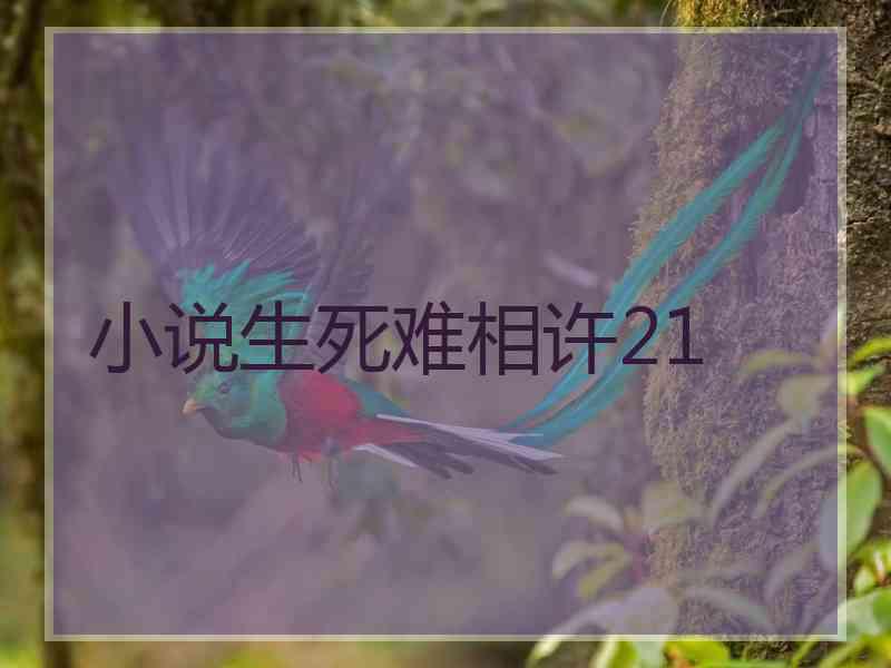 小说生死难相许21