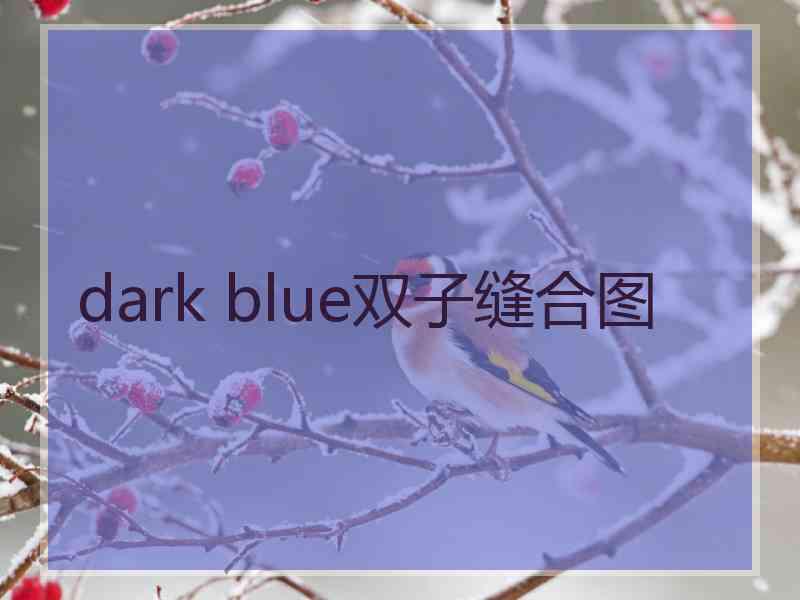 dark blue双子缝合图