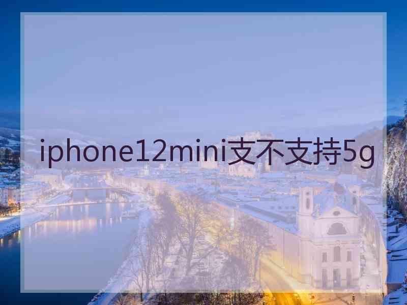 iphone12mini支不支持5g