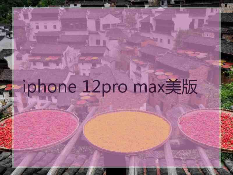 iphone 12pro max美版