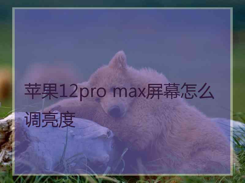 苹果12pro max屏幕怎么调亮度