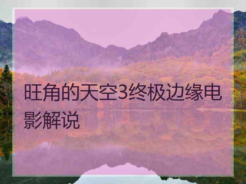 旺角的天空3终极边缘电影解说