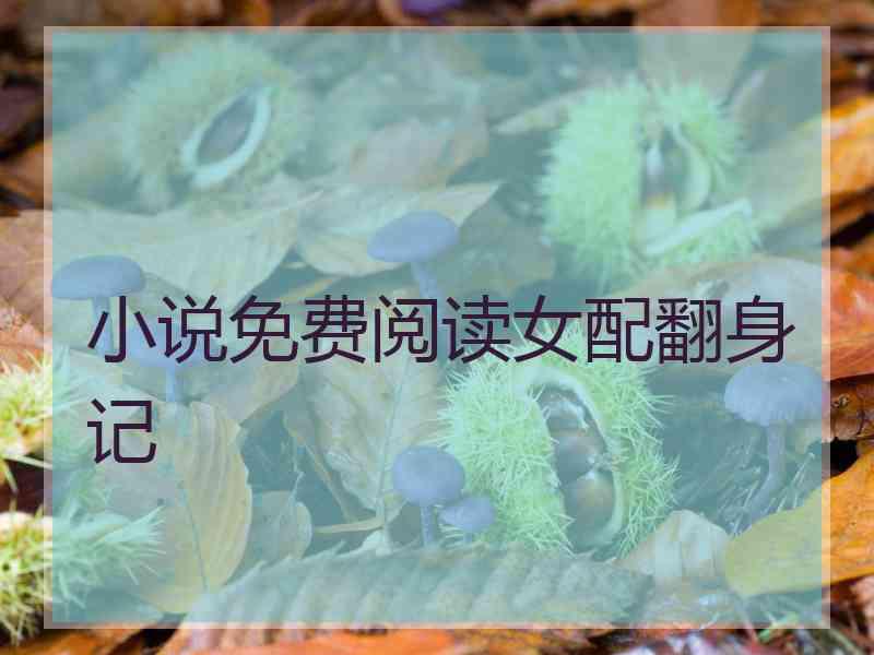 小说免费阅读女配翻身记