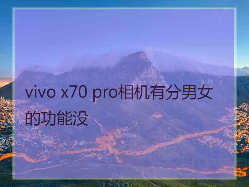 vivo x70 pro相机有分男女的功能没