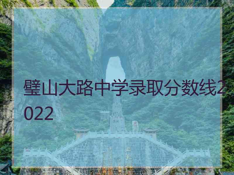 璧山大路中学录取分数线2022