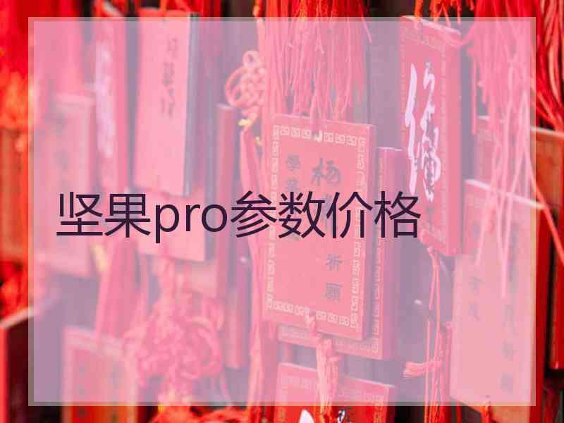 坚果pro参数价格