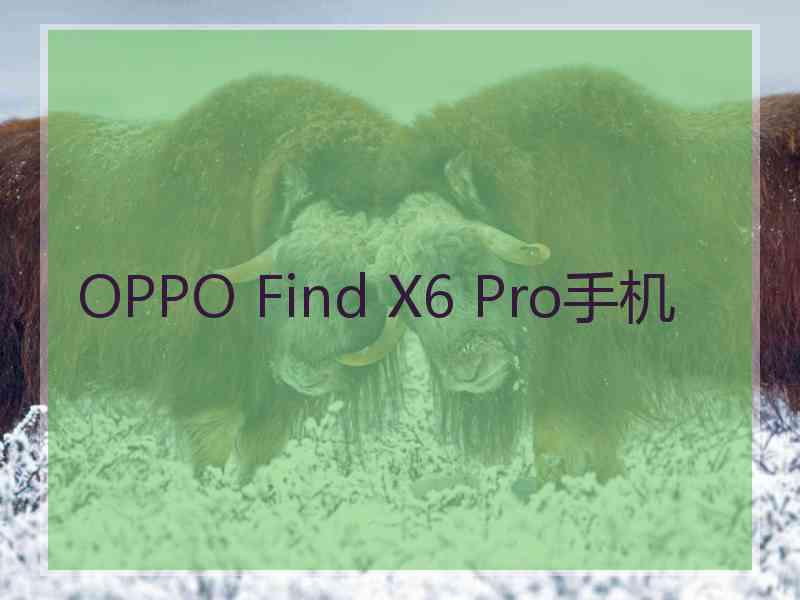 OPPO Find X6 Pro手机