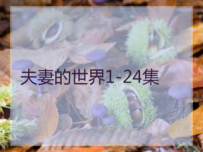 夫妻的世界1-24集