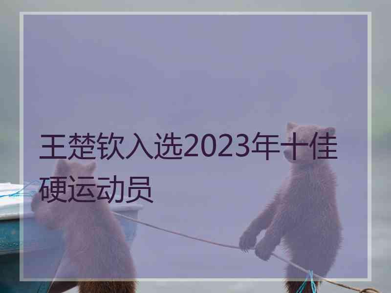 王楚钦入选2023年十佳硬运动员