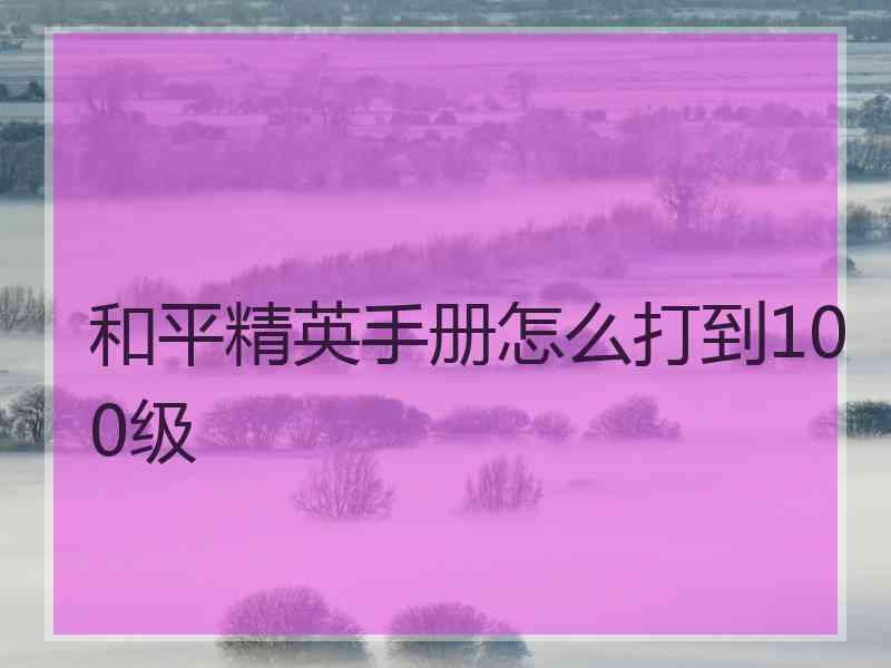 和平精英手册怎么打到100级