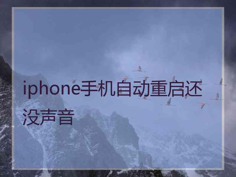 iphone手机自动重启还没声音