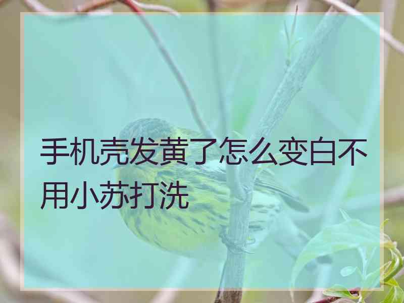 手机壳发黄了怎么变白不用小苏打洗