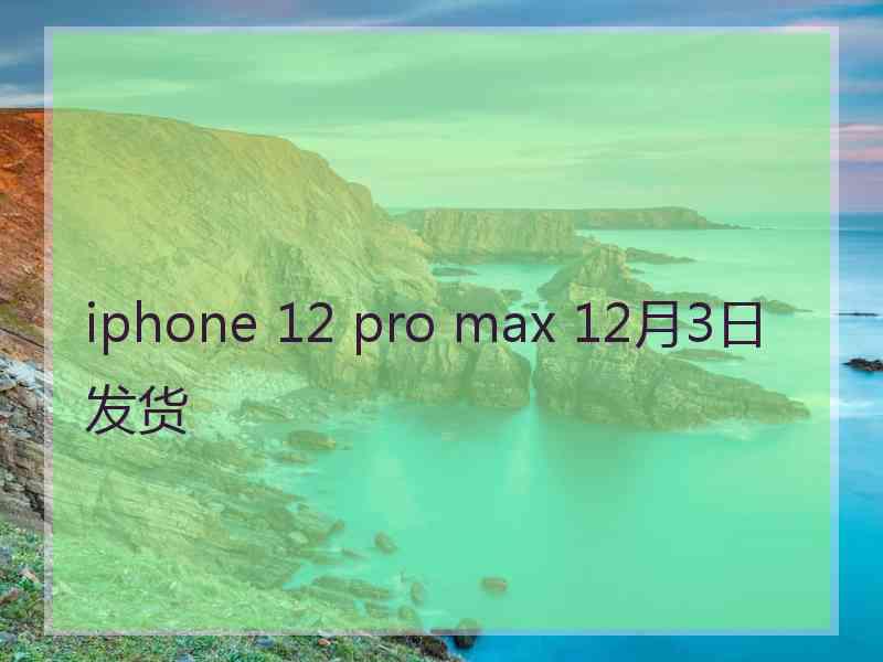 iphone 12 pro max 12月3日发货