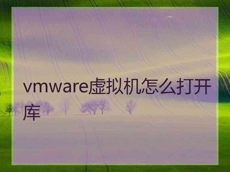 vmware虚拟机怎么打开库