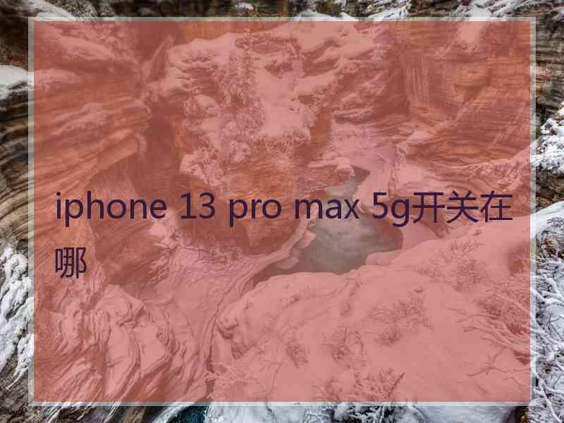 iphone 13 pro max 5g开关在哪