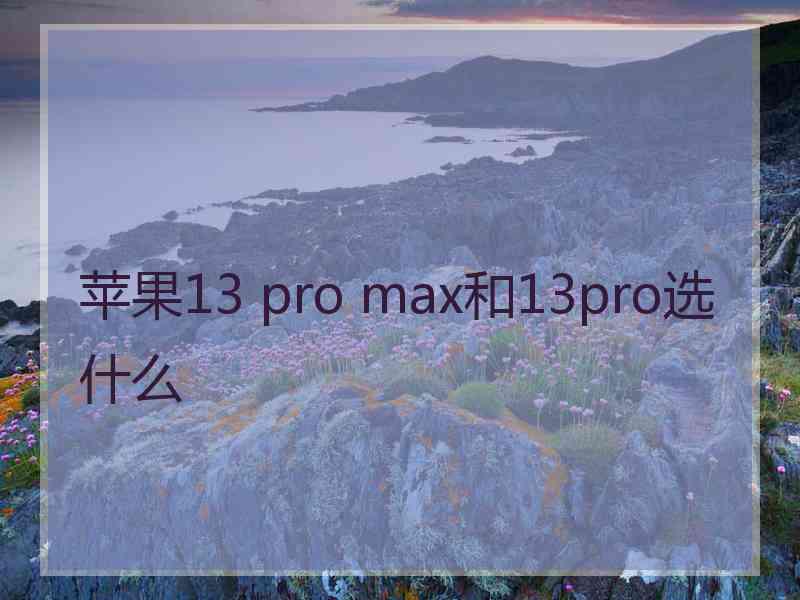 苹果13 pro max和13pro选什么