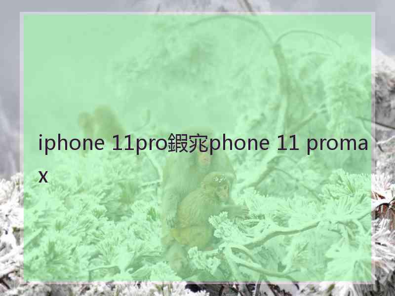 iphone 11pro鍜宨phone 11 promax