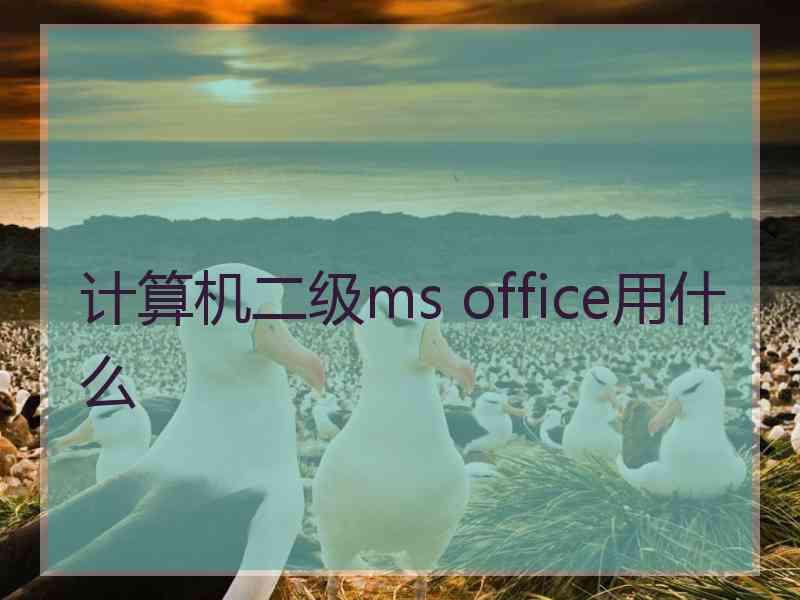 计算机二级ms office用什么