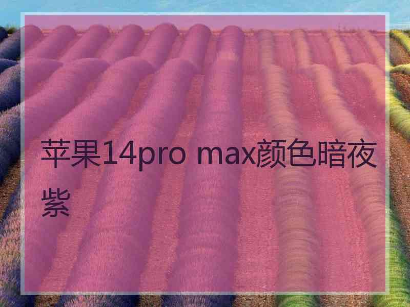 苹果14pro max颜色暗夜紫