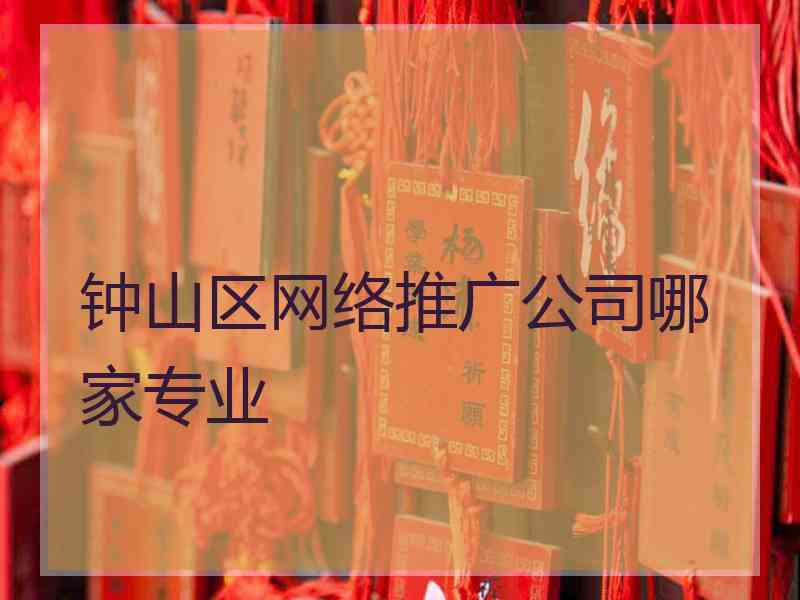 钟山区网络推广公司哪家专业