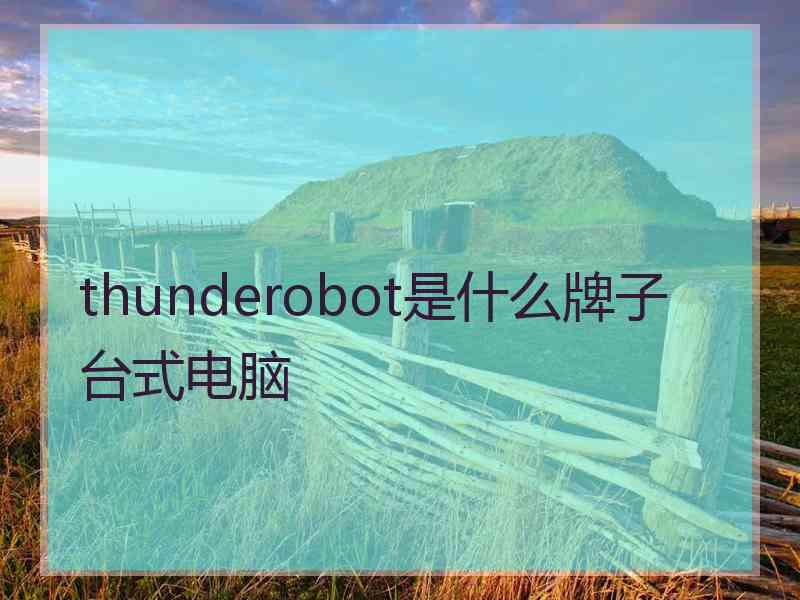 thunderobot是什么牌子台式电脑