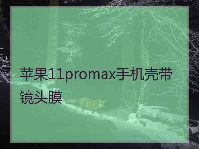 苹果11promax手机壳带镜头膜