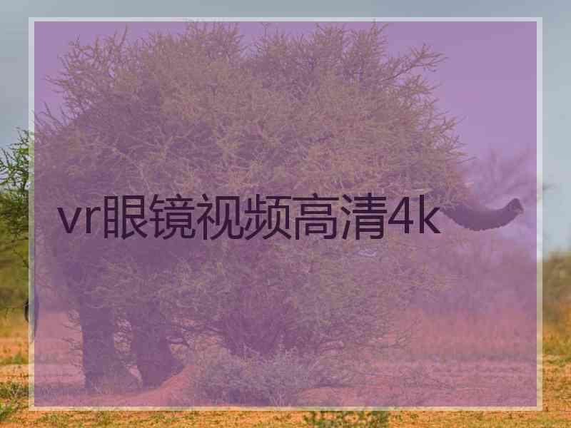 vr眼镜视频高清4k