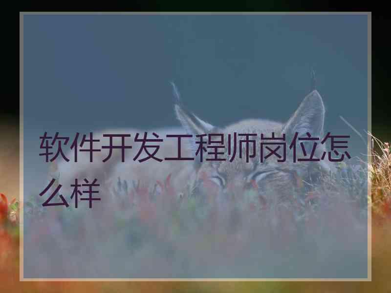 软件开发工程师岗位怎么样