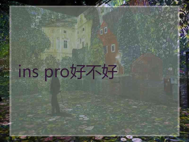 ins pro好不好