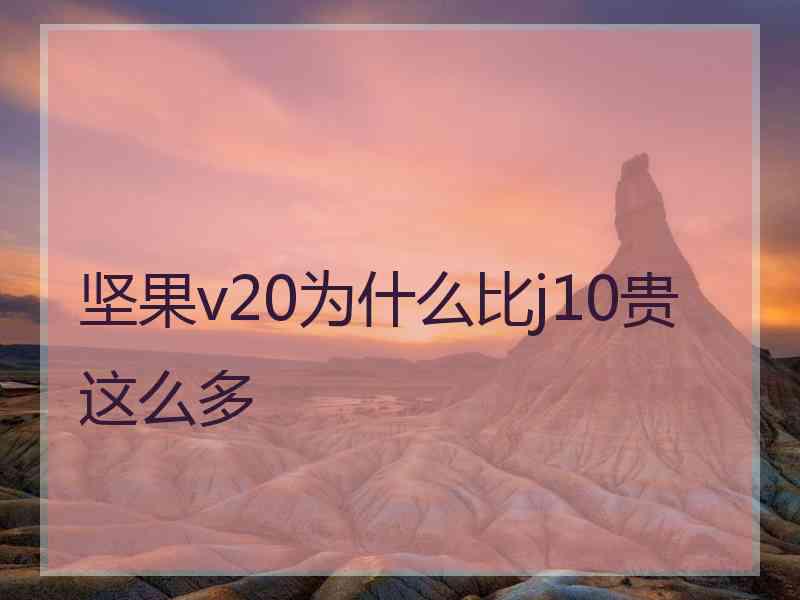 坚果v20为什么比j10贵这么多