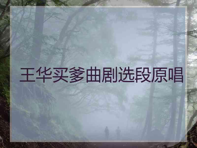 王华买爹曲剧选段原唱