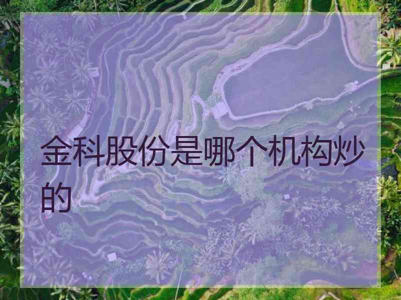 金科股份是哪个机构炒的