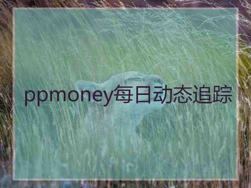 ppmoney每日动态追踪