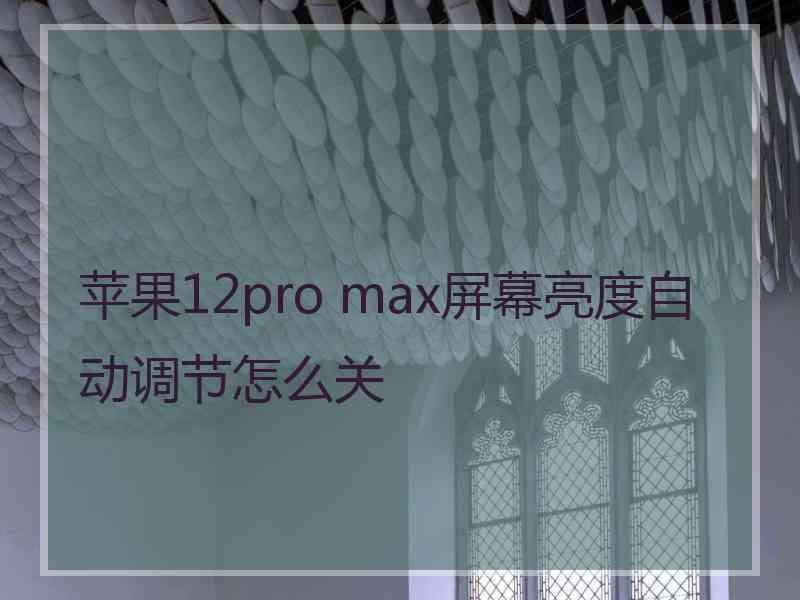 苹果12pro max屏幕亮度自动调节怎么关