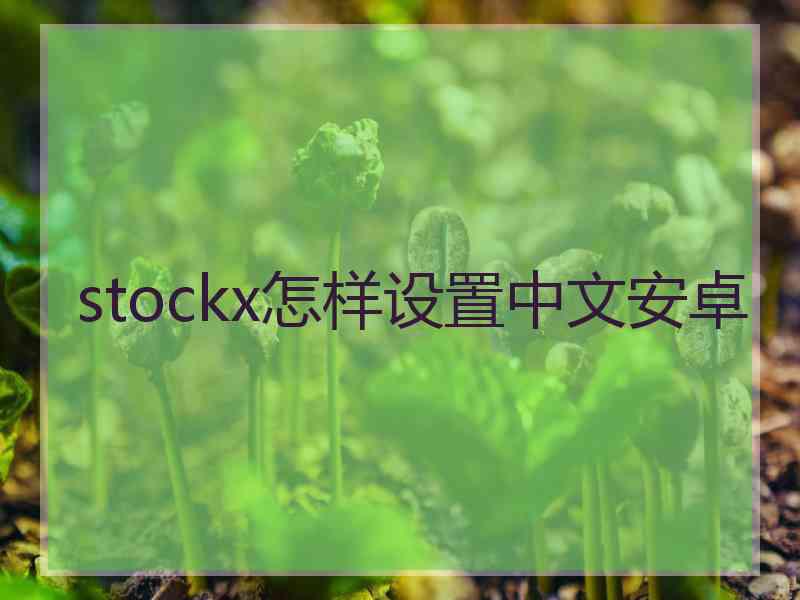 stockx怎样设置中文安卓