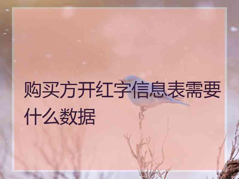 购买方开红字信息表需要什么数据