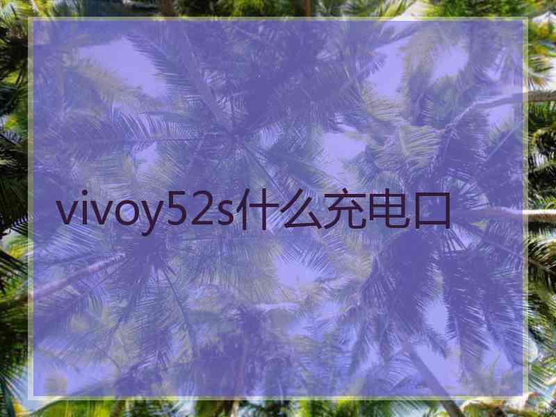 vivoy52s什么充电口